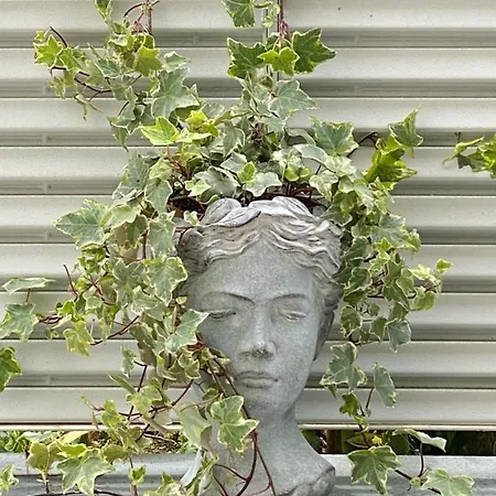 Maison Piccola Corte 度假居
